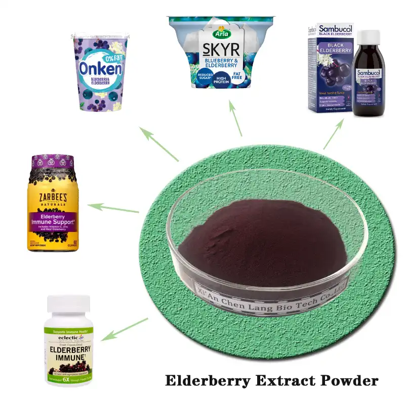 Elderberry Extract Powder.jpg